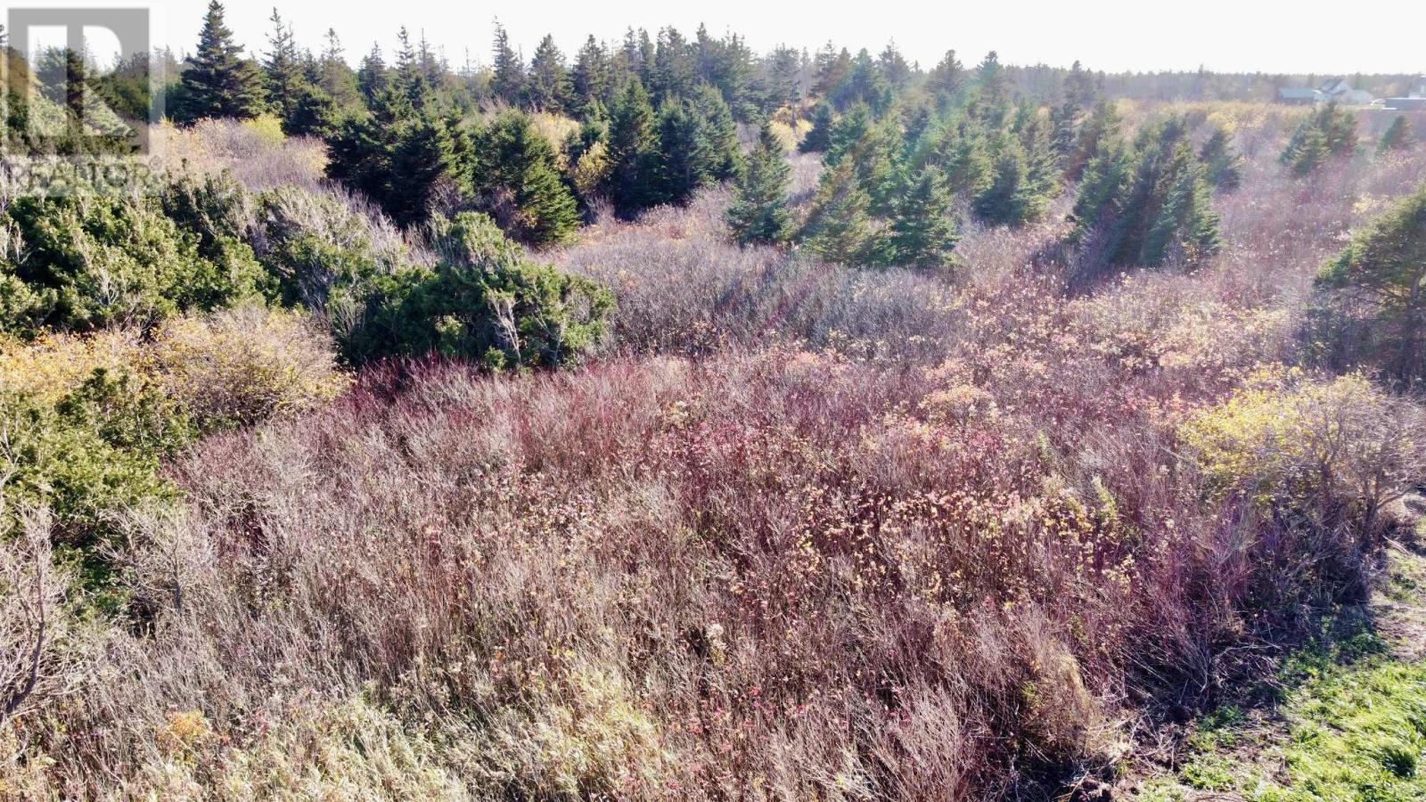 863233 Sea Watch Drive, Miminegash, Prince Edward Island  C0B 1Z0 - Photo 37 - 202607469