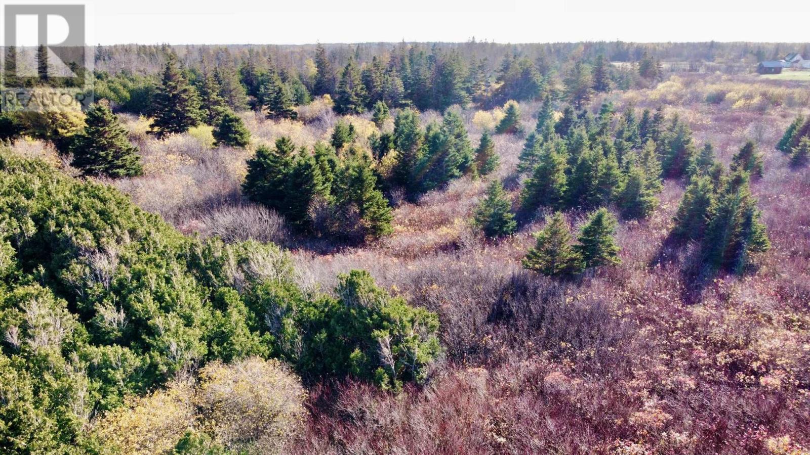 863233 Sea Watch Drive, Miminegash, Prince Edward Island  C0B 1Z0 - Photo 47 - 202607469