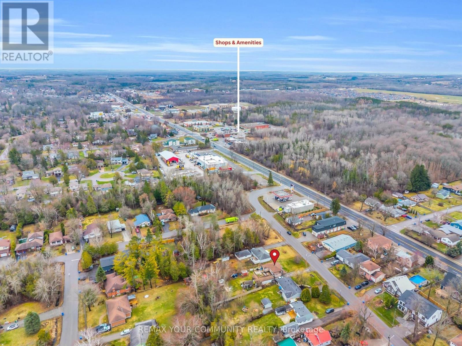 25 Grew Boulevard, Georgina, Ontario  L0E 1L0 - Photo 26 - N13001958