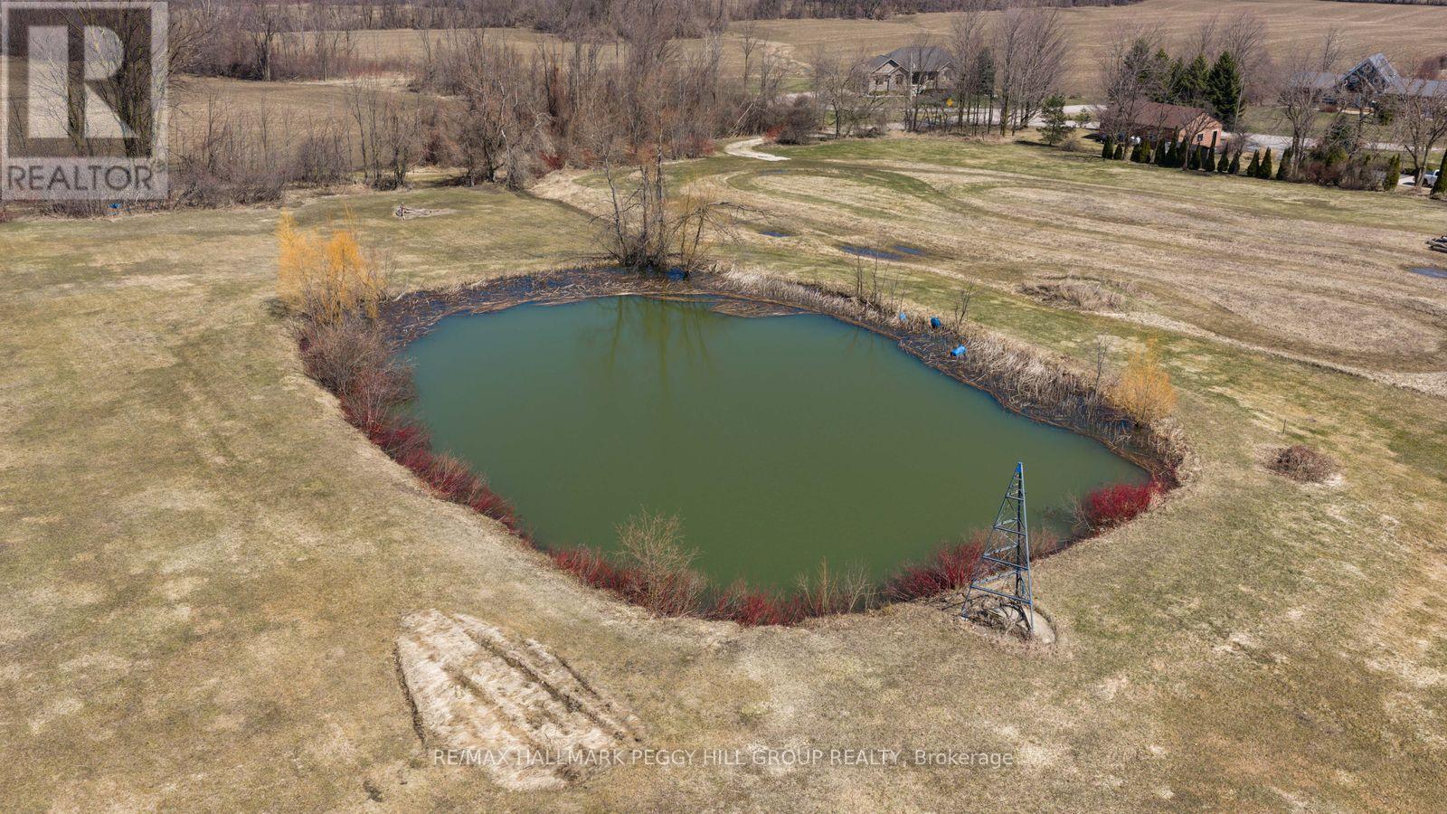 8886 County Road 91, Clearview, Ontario  L0M 1H0 - Photo 22 - S13001910