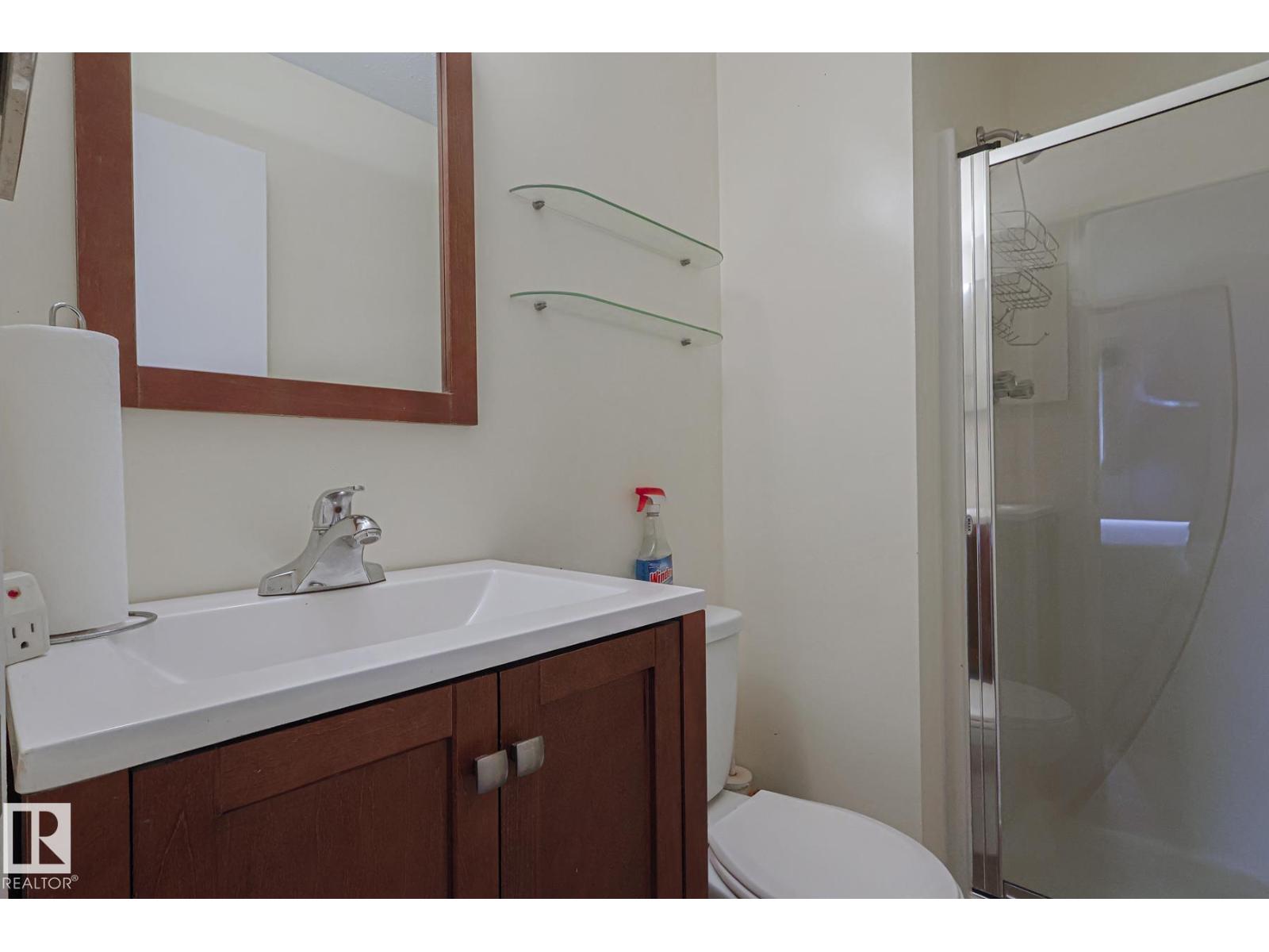 10439 16 Av Nw, Edmonton, Alberta  T6J 5T1 - Photo 29 - E4482342