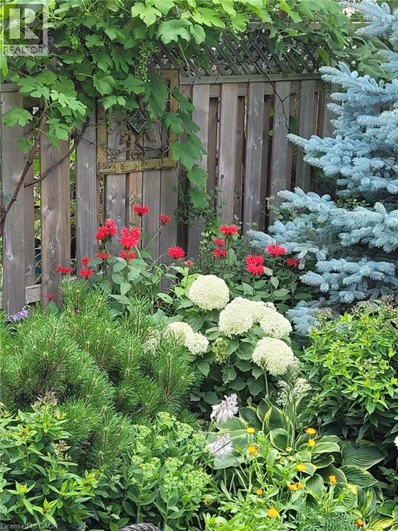 31 Pamela Lane, Cambridge, Ontario  N1R 8P7 - Photo 44 - 40819725