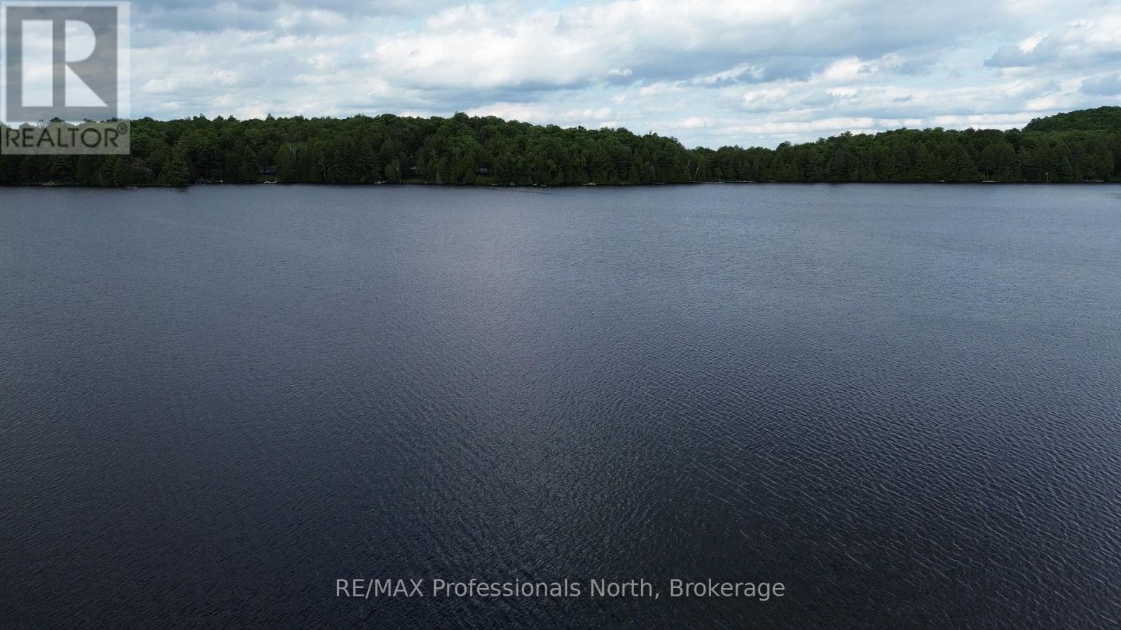 1012 Betula Crescent, Dysart Et Al, Ontario  K0L 1M1 - Photo 14 - X13002316