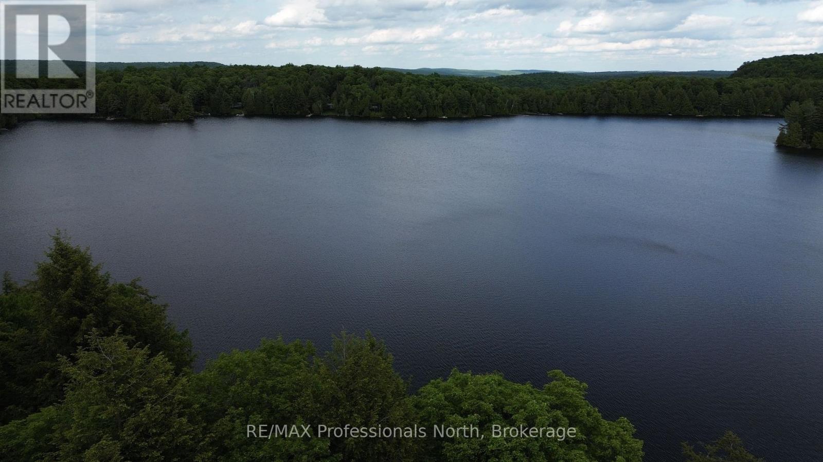 1012 Betula Crescent, Dysart Et Al, Ontario  K0L 1M1 - Photo 3 - X13002316