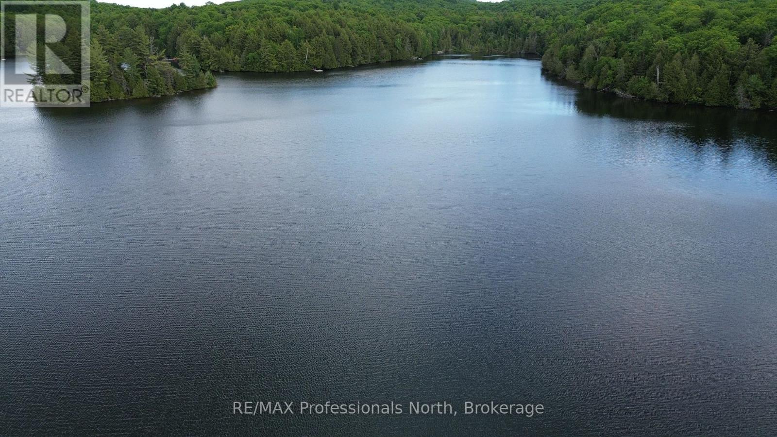 1012 Betula Crescent, Dysart Et Al, Ontario  K0L 1M1 - Photo 8 - X13002316