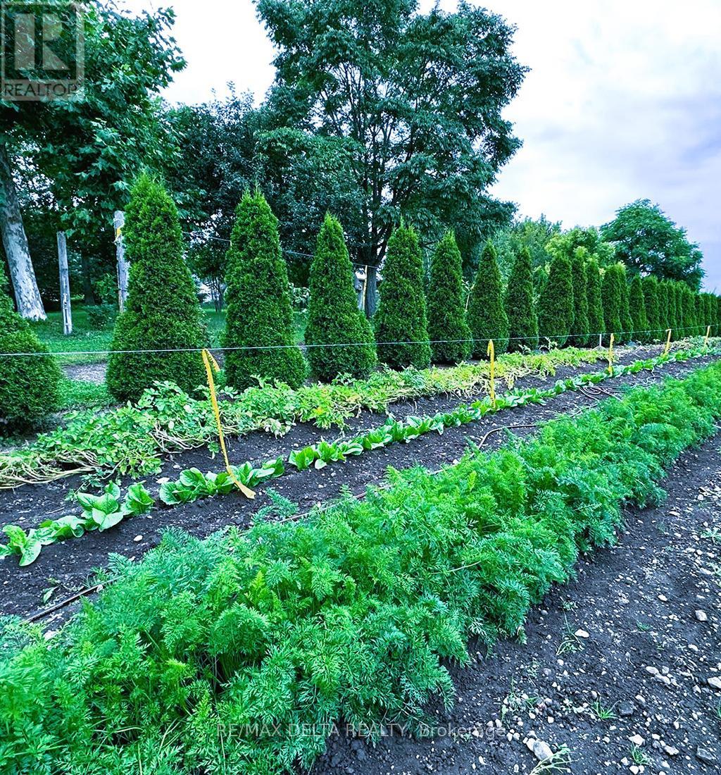 2685 Concession 7 Road, East Hawkesbury, Ontario  K0B 1P0 - Photo 29 - X13002190