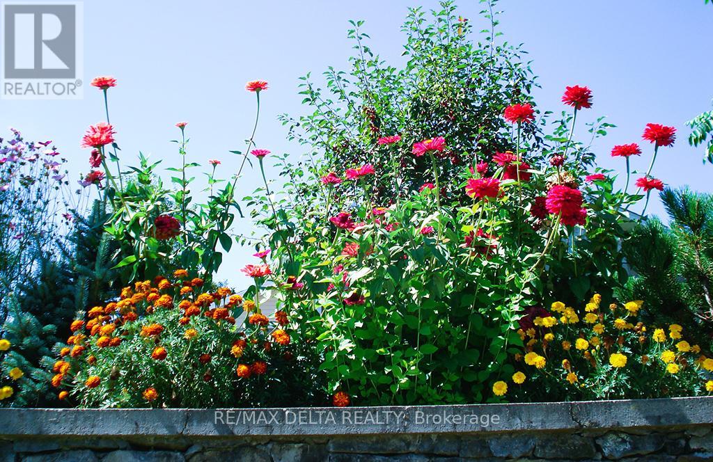 2685 Concession 7 Road, East Hawkesbury, Ontario  K0B 1P0 - Photo 33 - X13002190