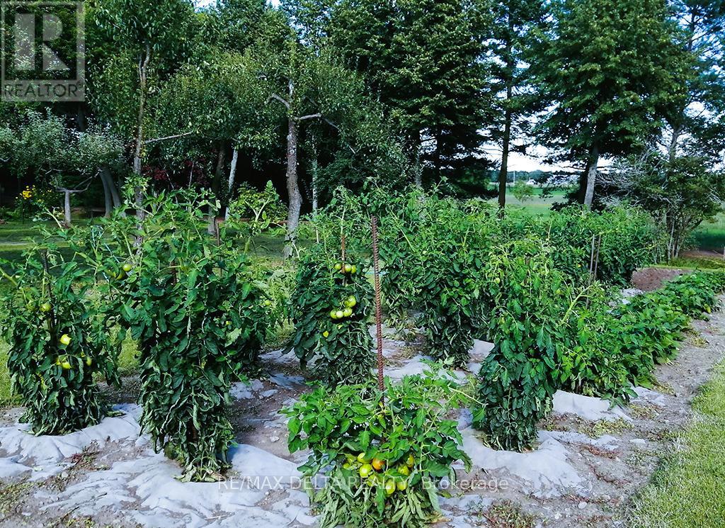 2685 Concession 7 Road, East Hawkesbury, Ontario  K0B 1P0 - Photo 35 - X13002190