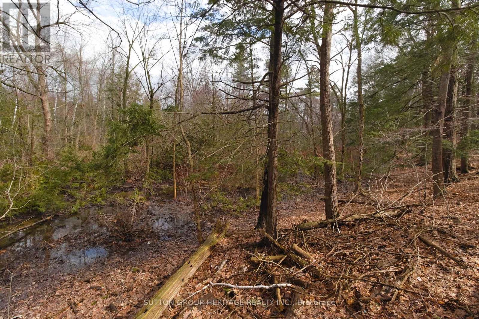 876 Darwin Drive, Pickering, Ontario  L1X 2P8 - Photo 36 - E13002342