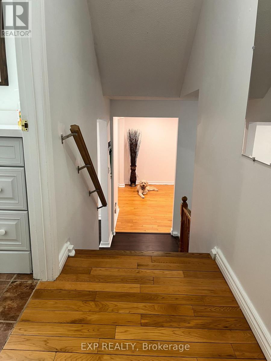 216 Colborne Street Ne, Bradford West Gwillimbury, Ontario  L3Z 2R5 - Photo 23 - N13002142