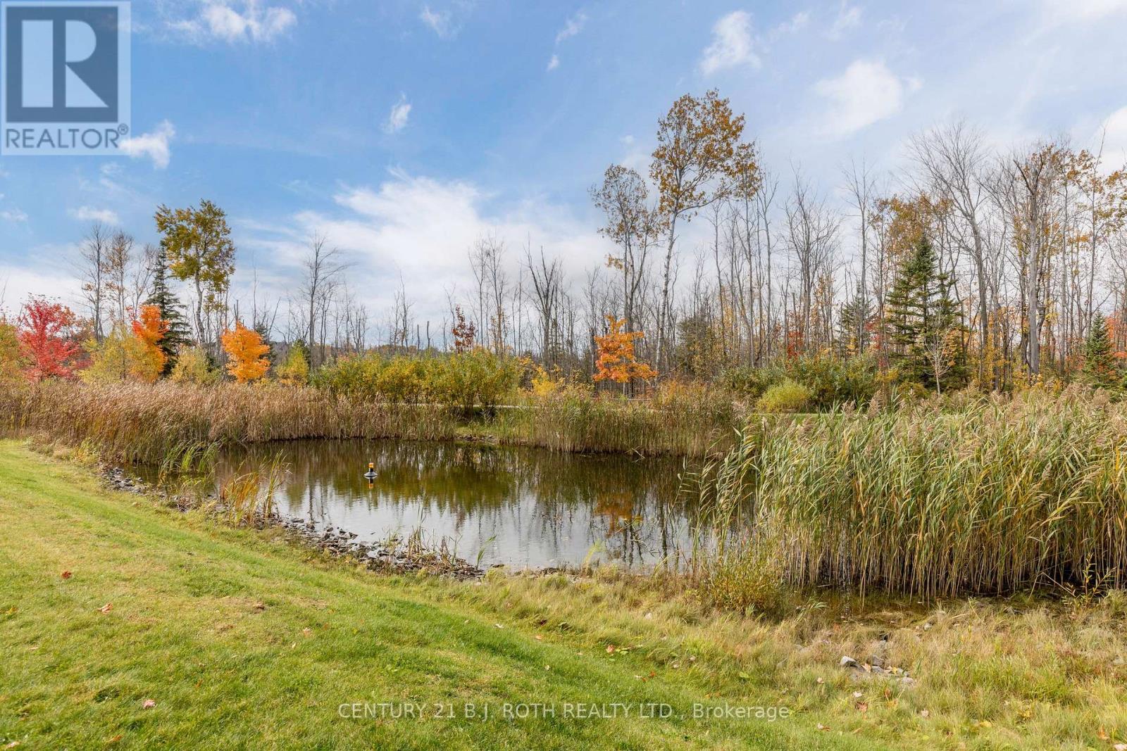 303 - 40 Ferndale Drive S, Barrie, Ontario  L4N 2L3 - Photo 3 - S13002370