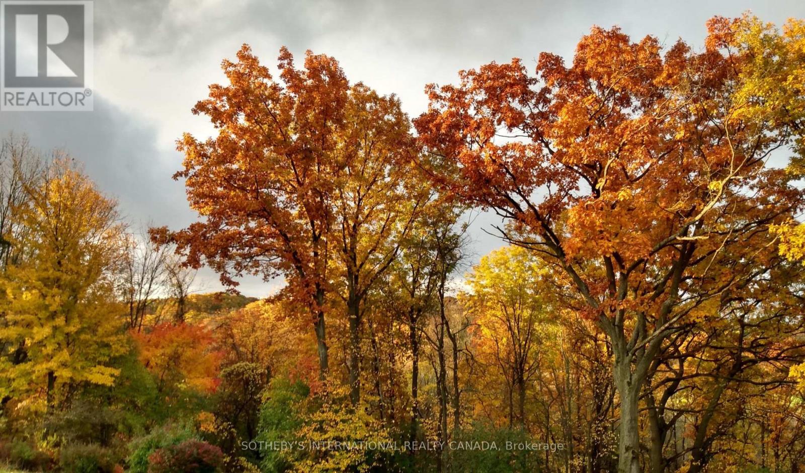 20 Ridgeview Court, Hamilton, Ontario  L9G 3X9 - Photo 3 - X12984370