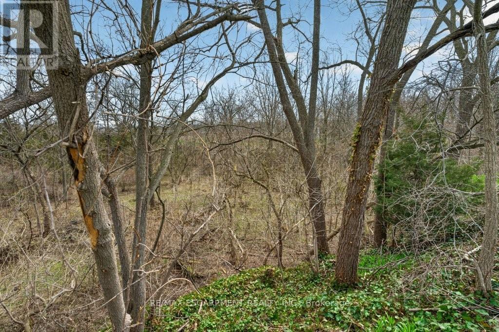 3378 Johnson Street, Lincoln, Ontario  L0R 2C0 - Photo 43 - X13002230