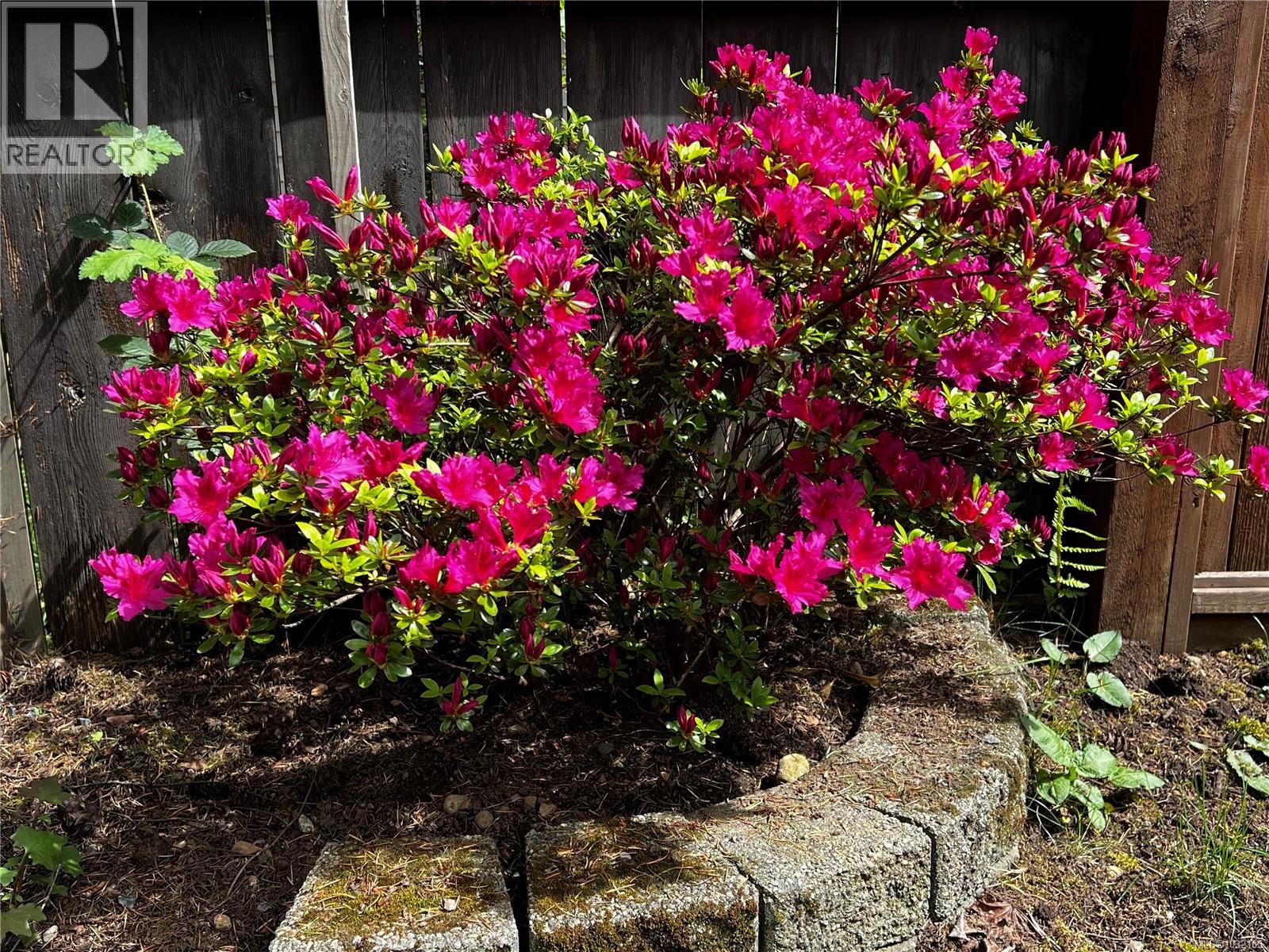 4080 Salal Dr, Nanaimo, British Columbia  V9T 5J7 - Photo 36 - 1032105