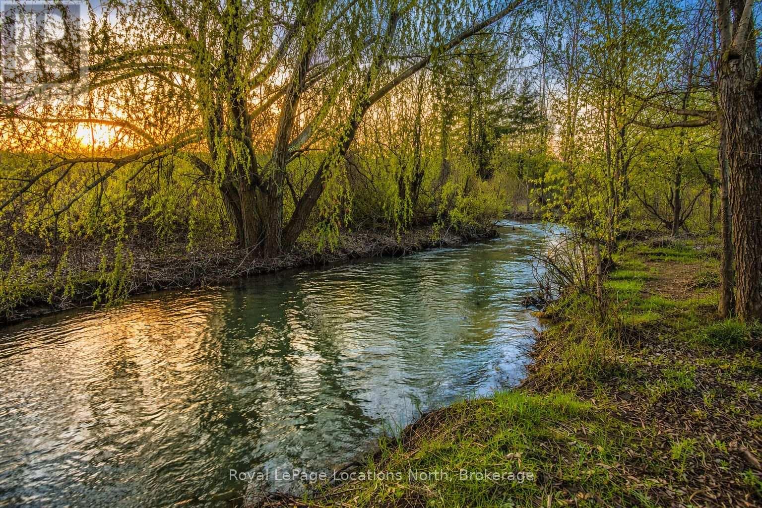 795853 Grey 19 Road, Collingwood, Ontario L9Y 3Y9 - Photo 5 - S13002436