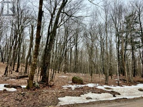 0 15TH/16TH SIDE ROAD, Magnetawan, Ontario