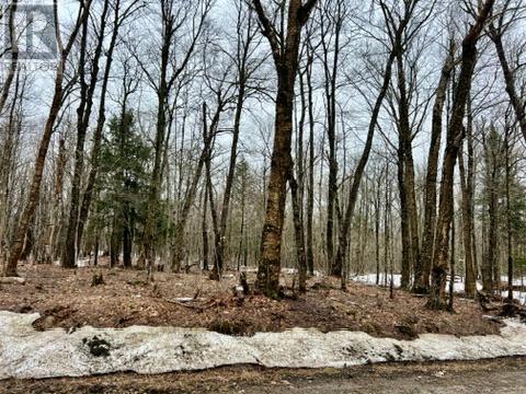 0 15th/16th Side Road, Magnetawan, Ontario  P0A 1P0 - Photo 2 - X13002470