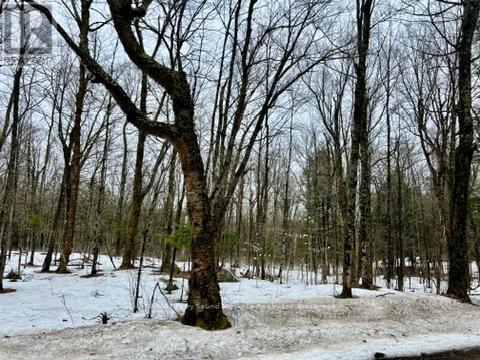 0 15th/16th Side Road, Magnetawan, Ontario  P0A 1P0 - Photo 3 - X13002470