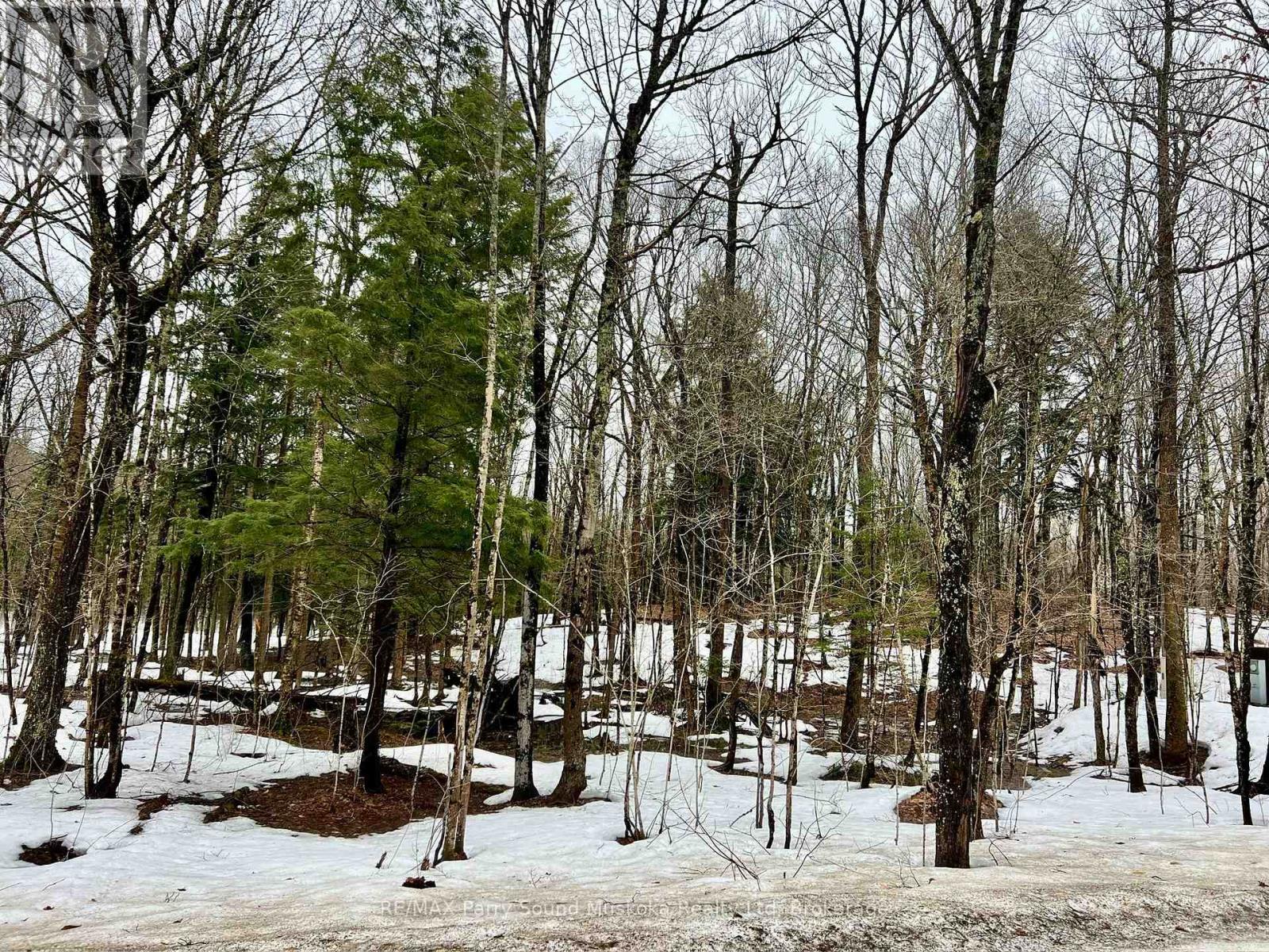 0 15th/16th Side Road, Magnetawan, Ontario  P0A 1P0 - Photo 4 - X13002470