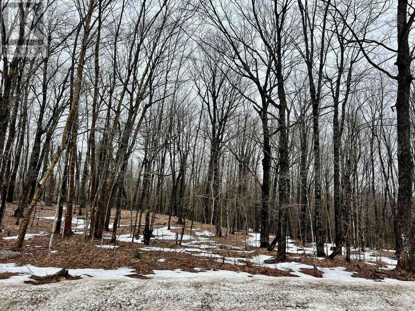 0 15th/16th Side Road, Magnetawan, Ontario  P0A 1P0 - Photo 6 - X13002470