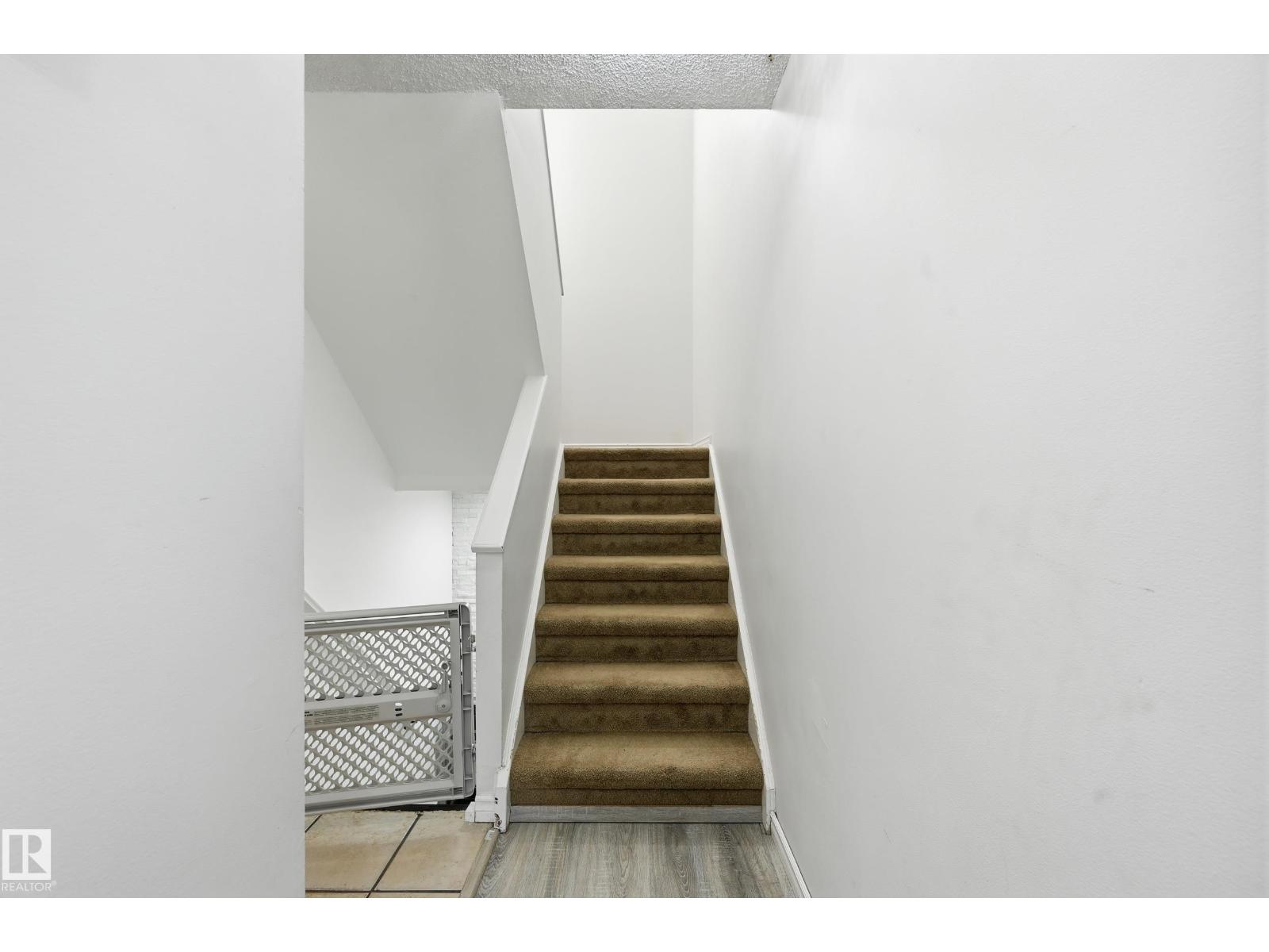 9031 133 Avenue Nw, Edmonton, Alberta  T5E 1C4 - Photo 17 - E4482372