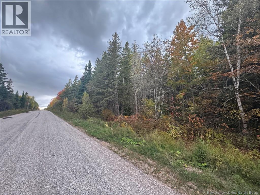 Salem Road, Havelock, New Brunswick  E4C 3S1 - Photo 2 - NB137297