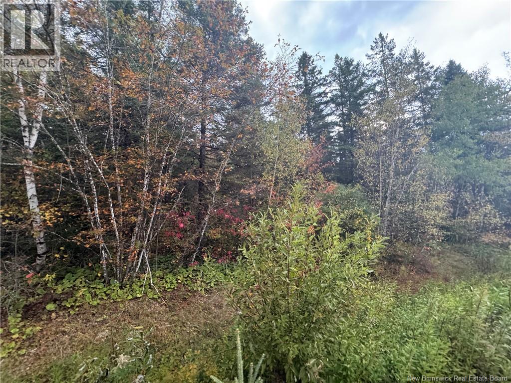 Salem Road, Havelock, New Brunswick  E4C 3S1 - Photo 3 - NB137297