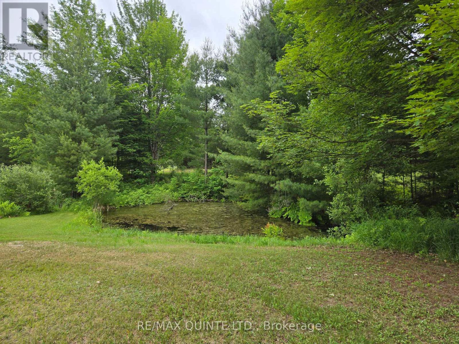 690 Potter Settlement Road, Tweed, Ontario  K0K 3J0 - Photo 6 - X12855120