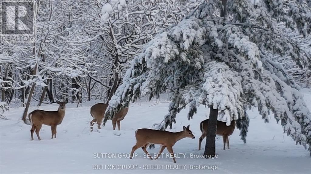45 Shaw Valley Drive, St. Thomas, Ontario  N5R 6J9 - Photo 11 - X13002728