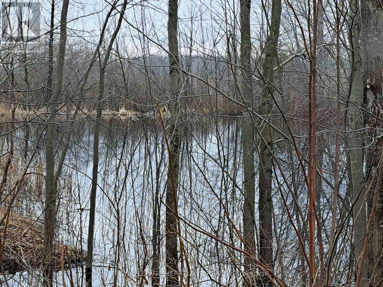 39132 Mount Carmel Drive, South Huron, Ontario  N0M 1M0 - Photo 33 - X13002738