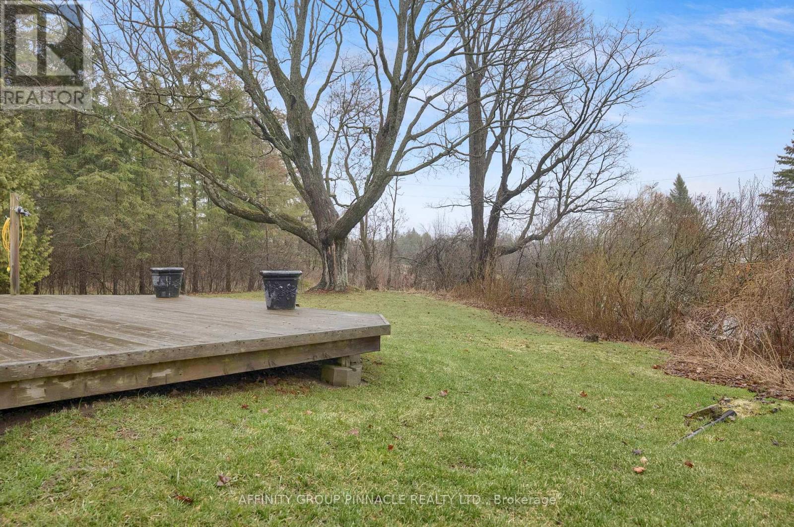 2126 County Rd 36 Road, Kawartha Lakes, Ontario  K0M 1L0 - Photo 42 - X13002546