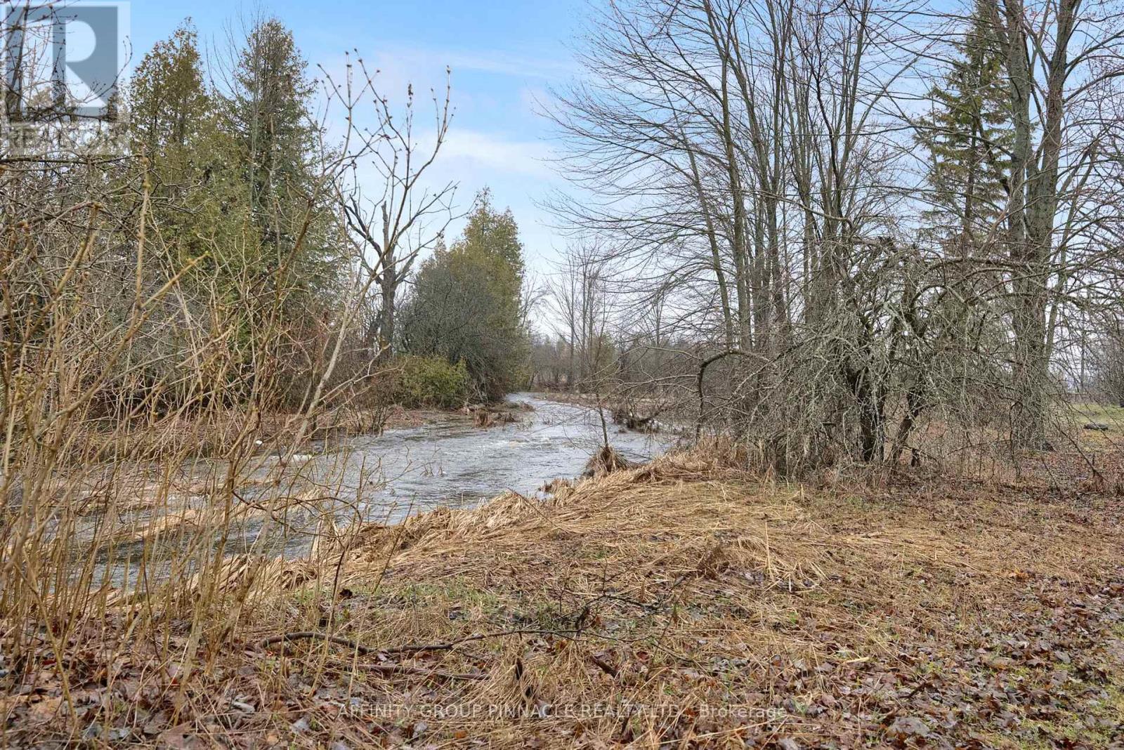 2126 County Rd 36 Road, Kawartha Lakes, Ontario  K0M 1L0 - Photo 45 - X13002546