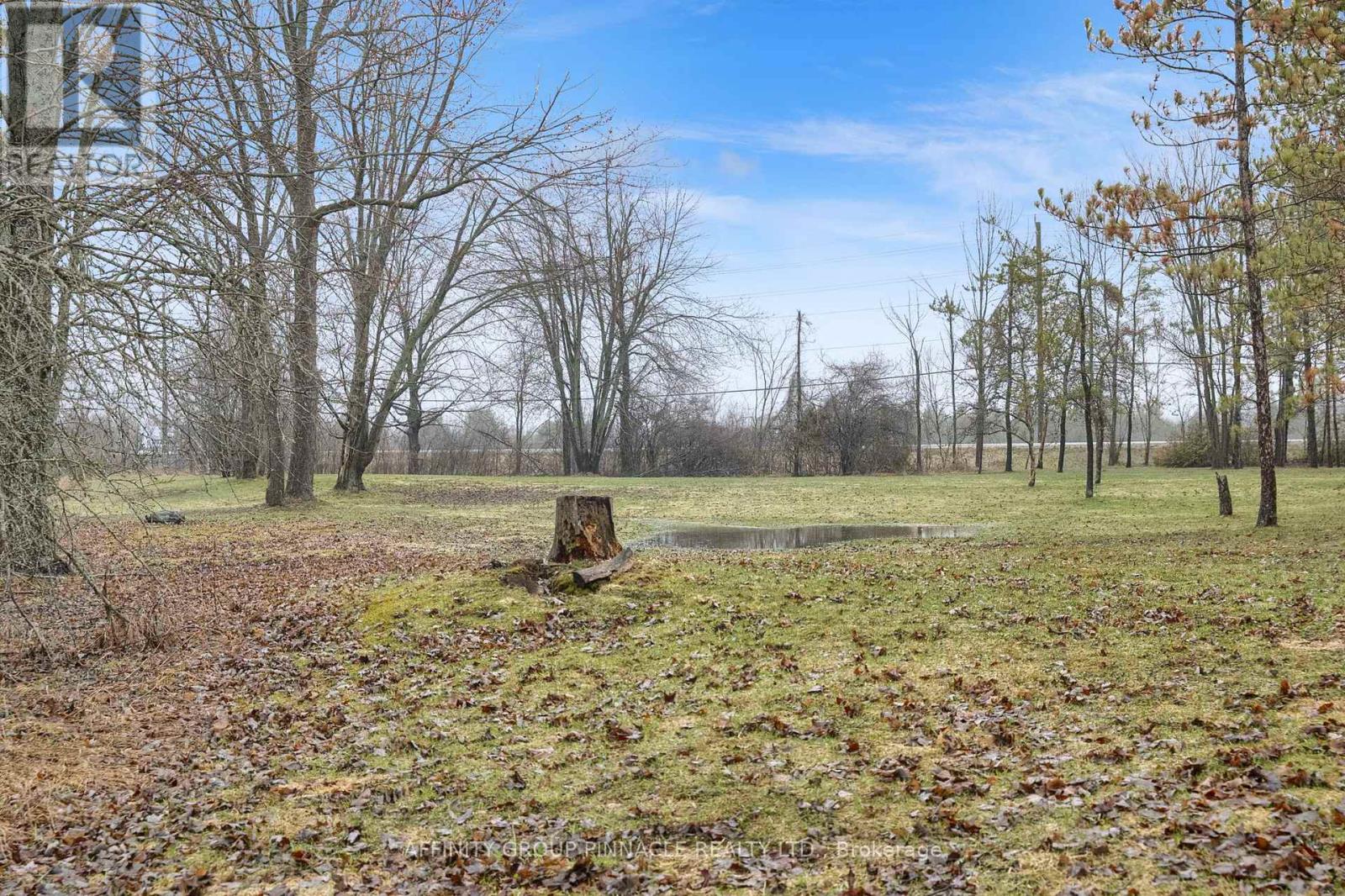 2126 County Rd 36 Road, Kawartha Lakes, Ontario  K0M 1L0 - Photo 46 - X13002546