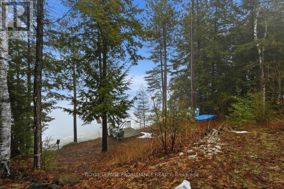399 Oborne Point Road, Addington Highlands, Ontario  K0H 1K0 - Photo 30 - X13002724