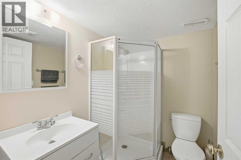 39 Saddlemont Close NE, Calgary, Alberta  T3J 4V1 - Photo 35 - A2300234