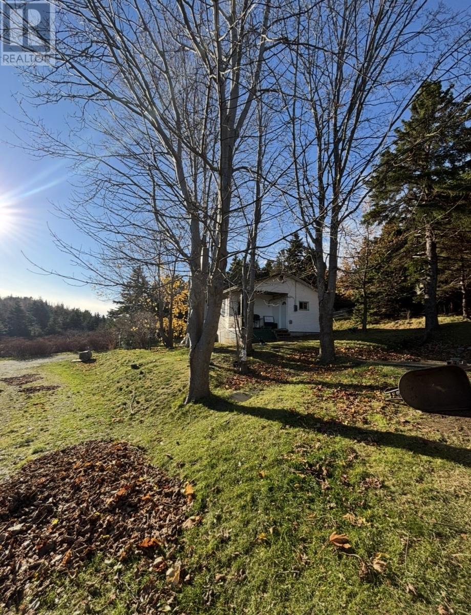 23 Shea's Lane, Brigus, Newfoundland & Labrador  A0A 1K0 - Photo 1 - 1296231