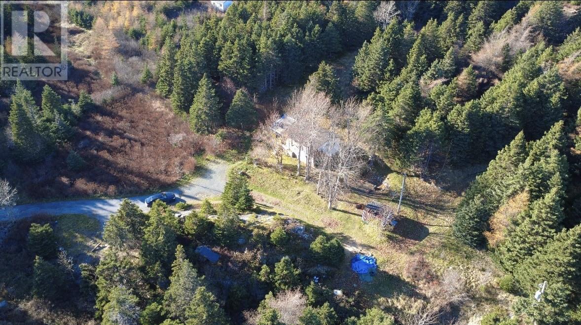 23 Shea's Lane, Brigus, Newfoundland & Labrador  A0A 1K0 - Photo 8 - 1296231