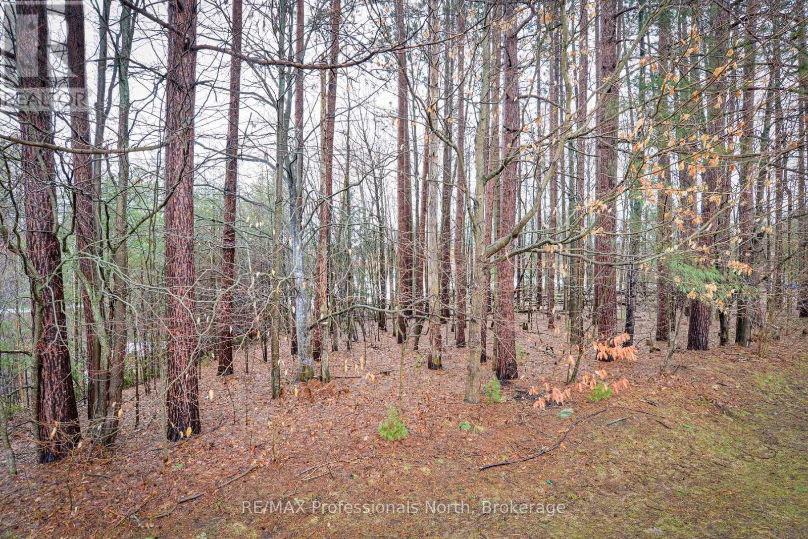 12 - 200 Pine Street, Bracebridge, Ontario  P1L 2H9 - Photo 13 - X13002652