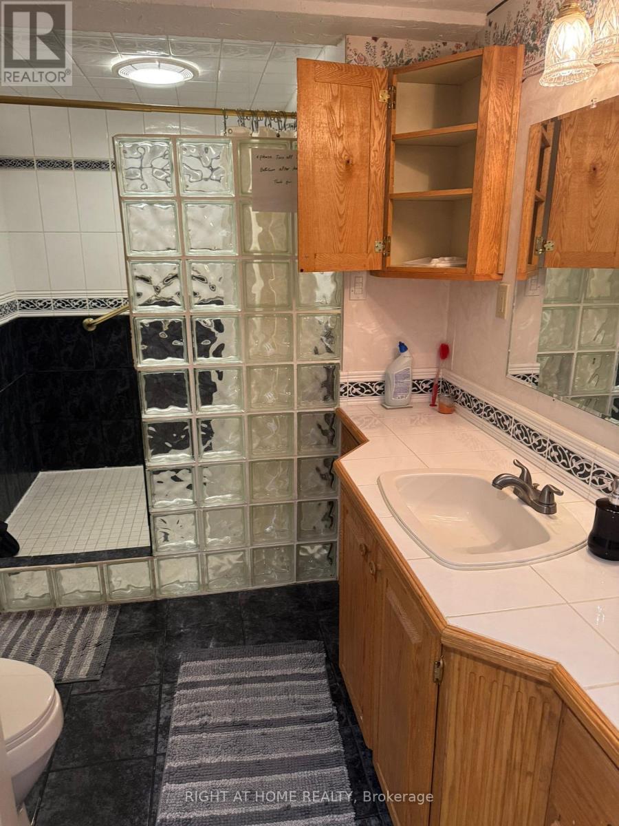 104 Peevers Crescent, Newmarket, Ontario  L3Y 7T1 - Photo 17 - N13002662