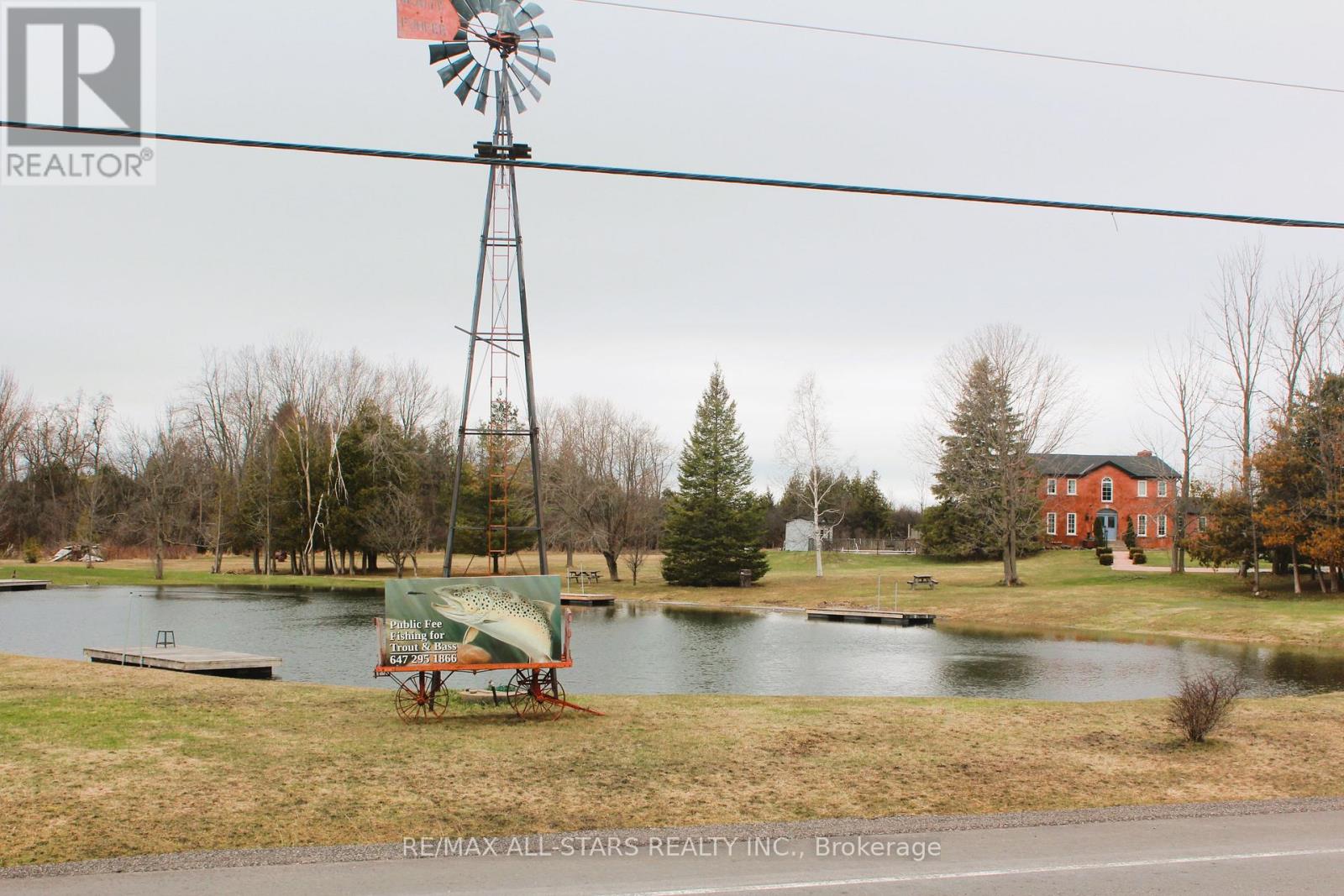 25472 Lakeridge Road, Georgina, Ontario  L0E 1N0 - Photo 8 - N13002826