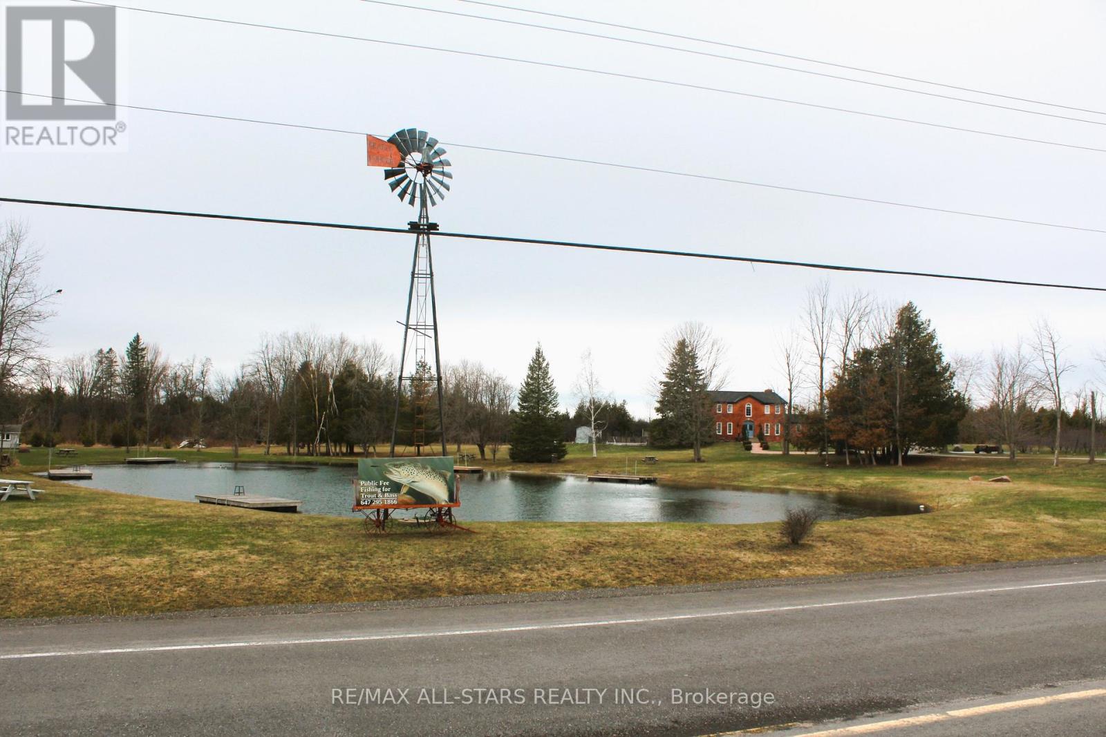 25472 Lakeridge Road, Georgina, Ontario  L0E 1N0 - Photo 9 - N13002826
