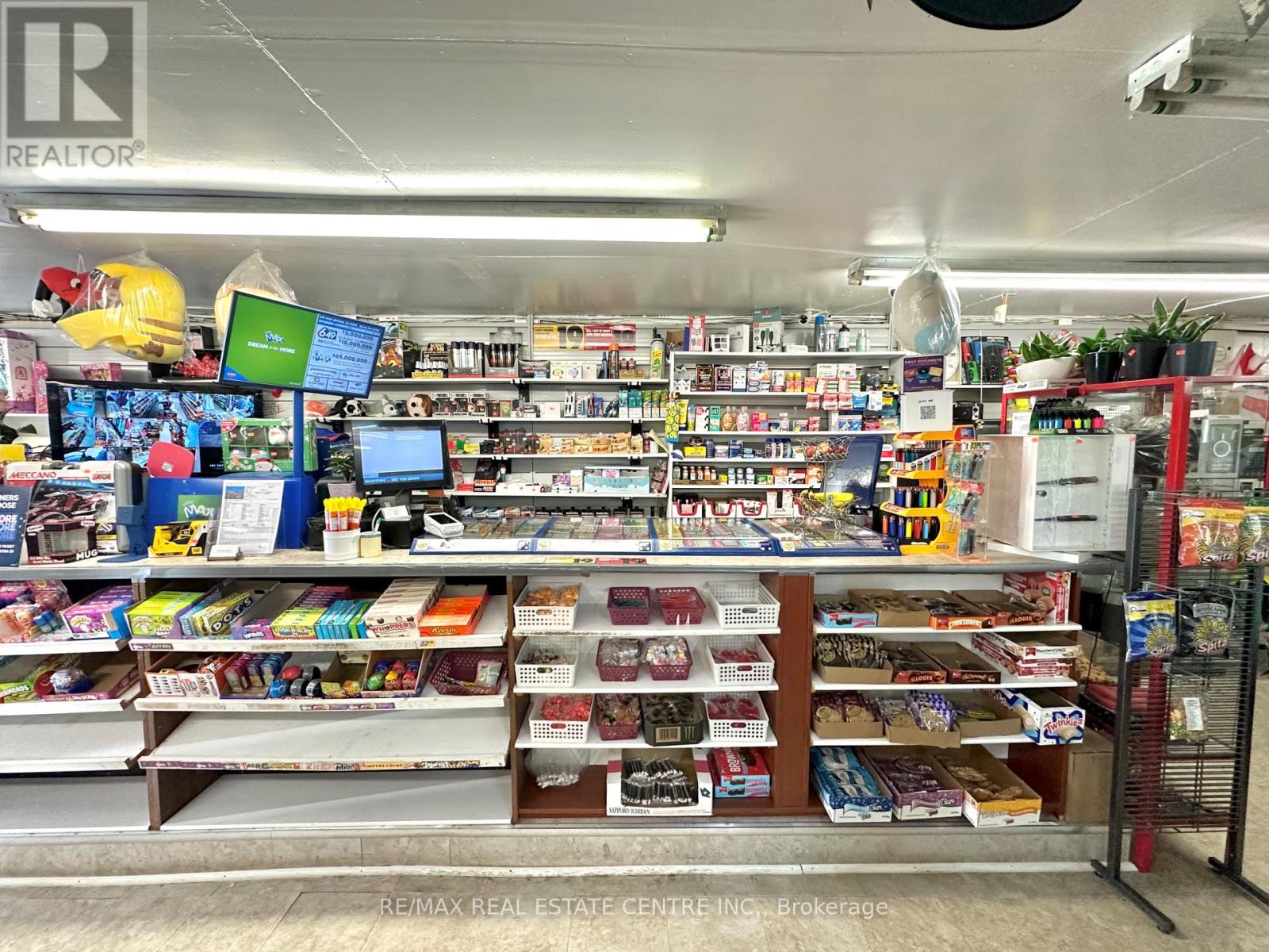 257 Murray Street, Brantford, Ontario  N3S 5S4 - Photo 19 - X12928476