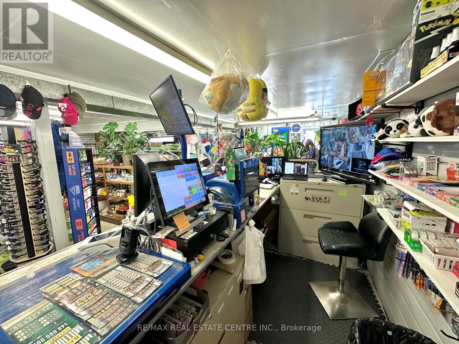 257 Murray Street, Brantford, Ontario  N3S 5S4 - Photo 21 - X12928476