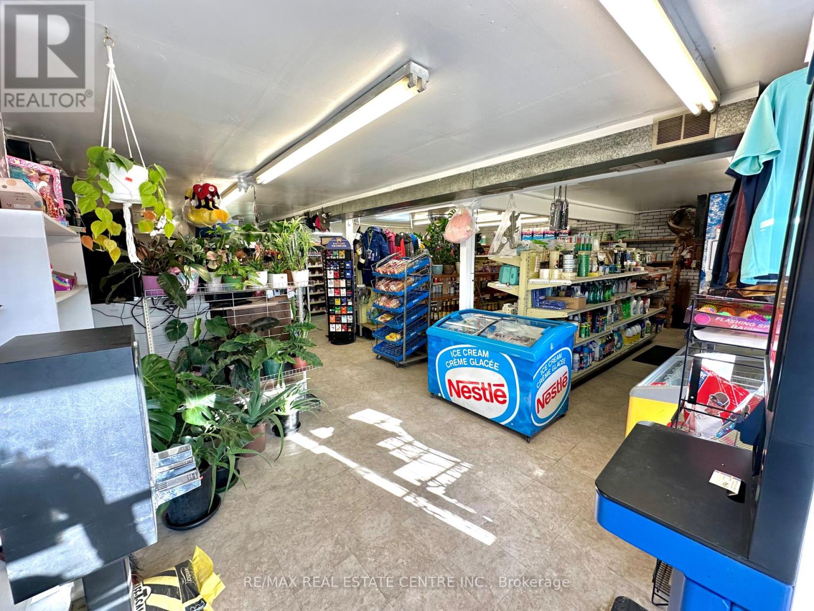 257 Murray Street, Brantford, Ontario  N3S 5S4 - Photo 3 - X12928476