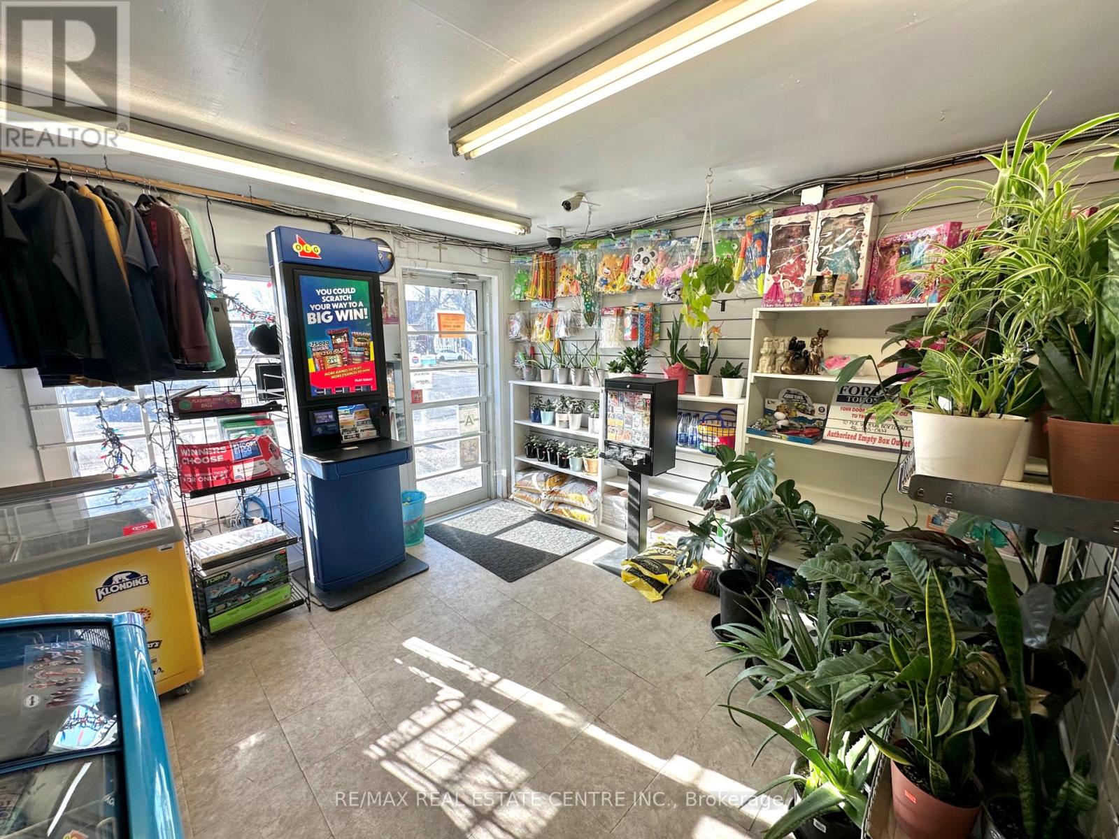 257 Murray Street, Brantford, Ontario  N3S 5S4 - Photo 4 - X12928476