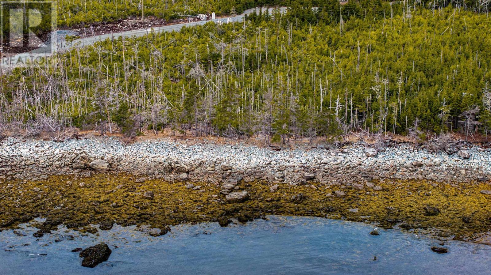 50 Inlet Court, West Quoddy, Nova Scotia  B0H 1W0 - Photo 6 - 202607497