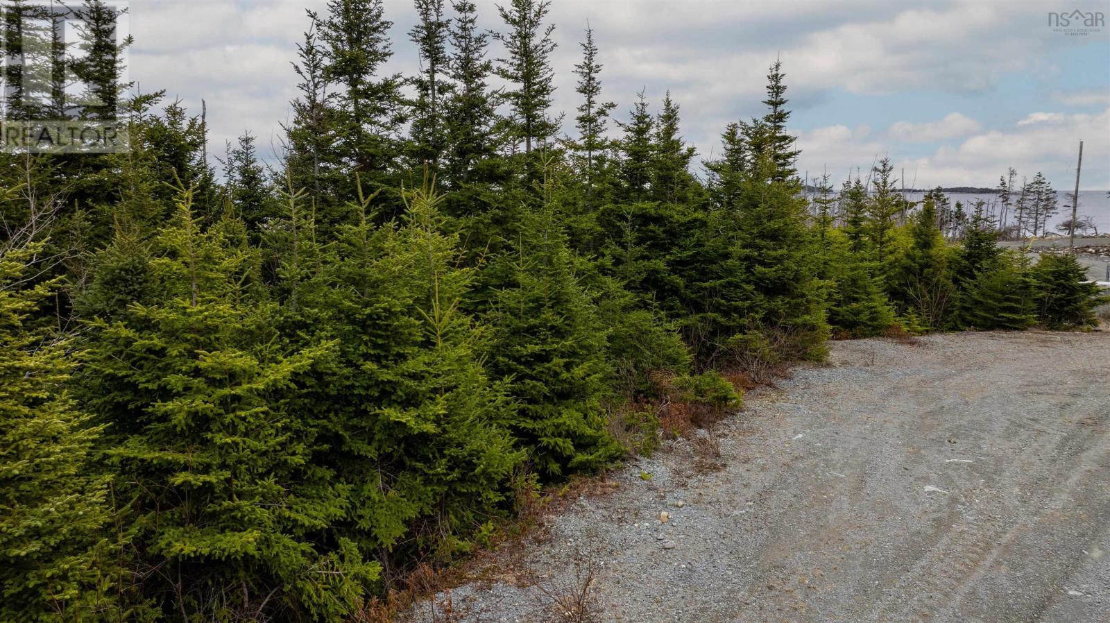 50 Inlet Court, West Quoddy, Nova Scotia  B0H 1W0 - Photo 11 - 202607497