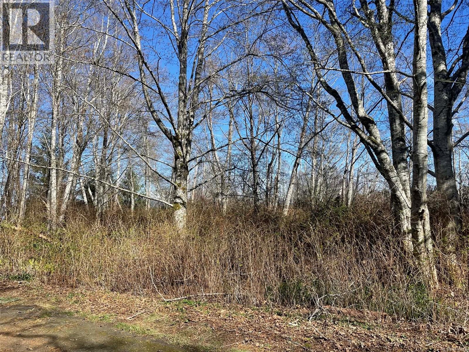 Lot I Newcastle Rd, Fanny Bay, British Columbia  V0R 1W0 - Photo 12 - 1032242