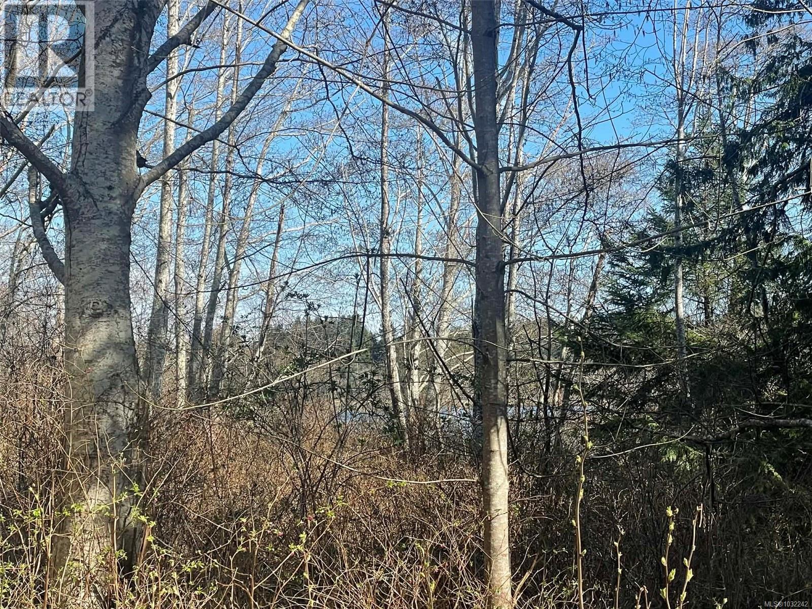 Lot I Newcastle Rd, Fanny Bay, British Columbia  V0R 1W0 - Photo 13 - 1032242