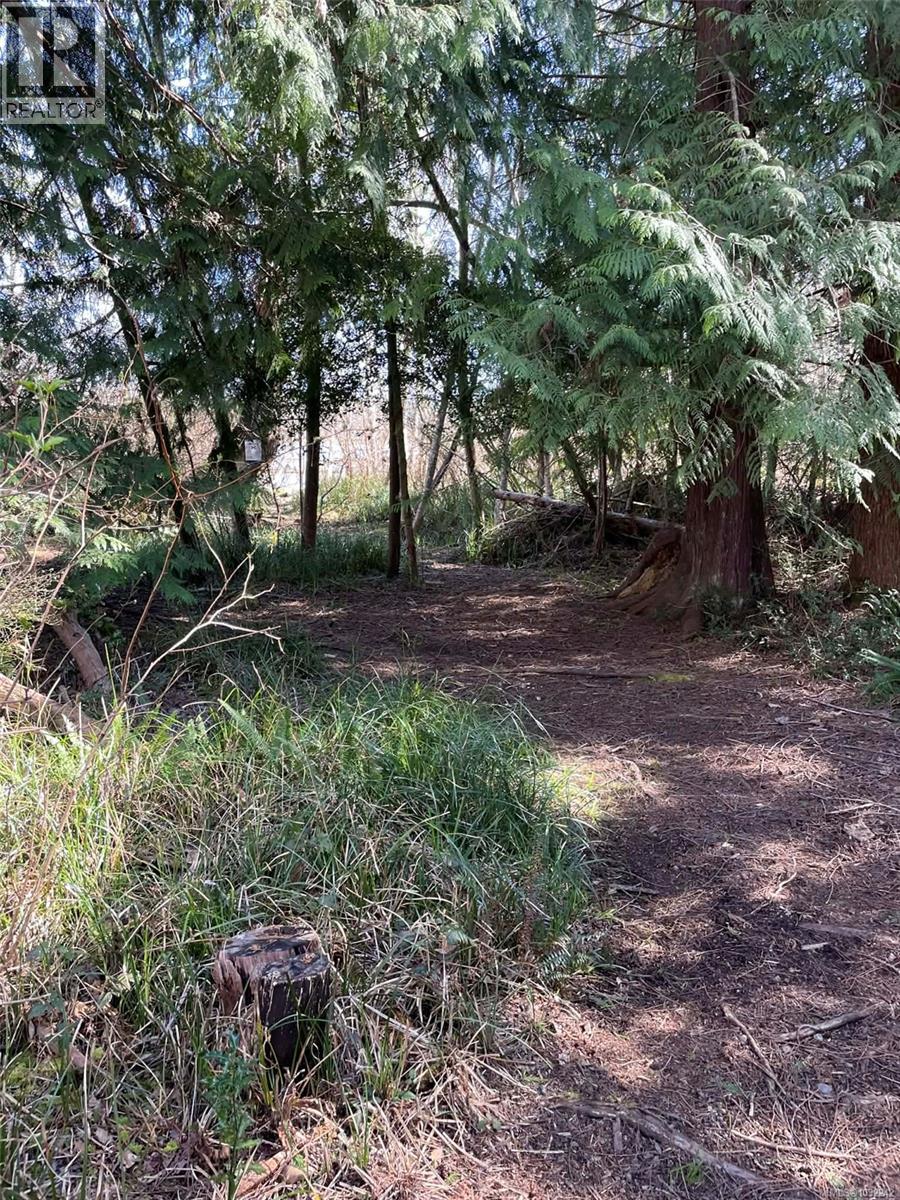 Lot I Newcastle Rd, Fanny Bay, British Columbia  V0R 1W0 - Photo 2 - 1032242